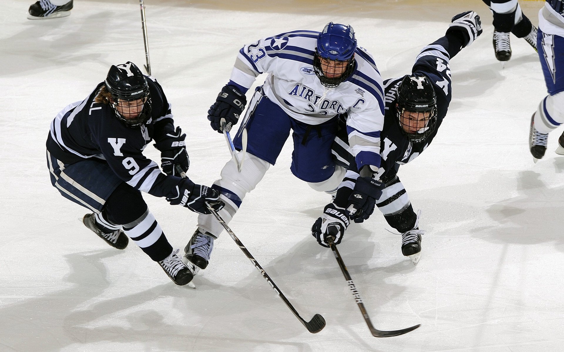 南非羚羊队：稳定的防守体系与高效的反击进攻助力球队屡获胜利